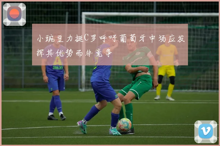 小豌豆力挺C罗呼吁葡萄牙中场应发挥其优势而非竞争